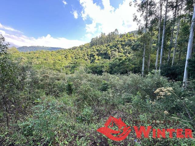 #2171 - Área para Venda em São Vendelino - RS - 3