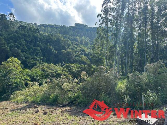 Área de terras para Venda em São Vendelino - 5