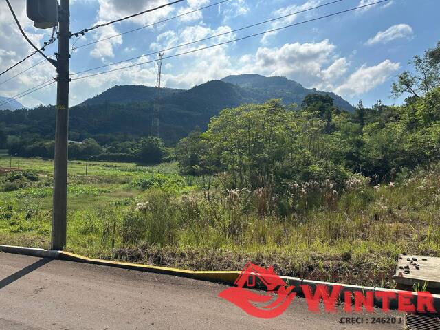 Área de terras para Venda em São Vendelino - 4