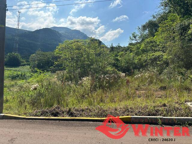 Área de terras para Venda em São Vendelino - 5
