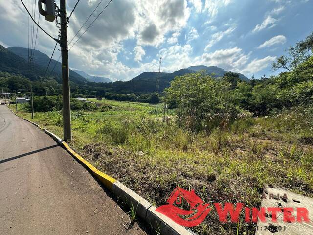 #2174 - Área para Venda em São Vendelino - RS - 3