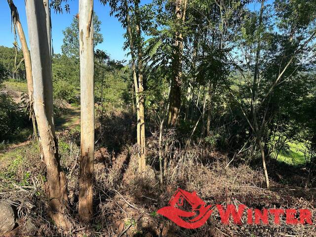 Área de terras para Venda em São Vendelino - 4
