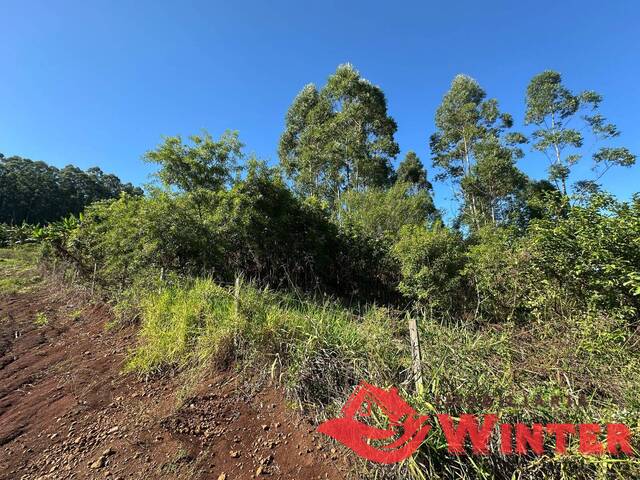 Área de terras para Venda em São Vendelino - 5