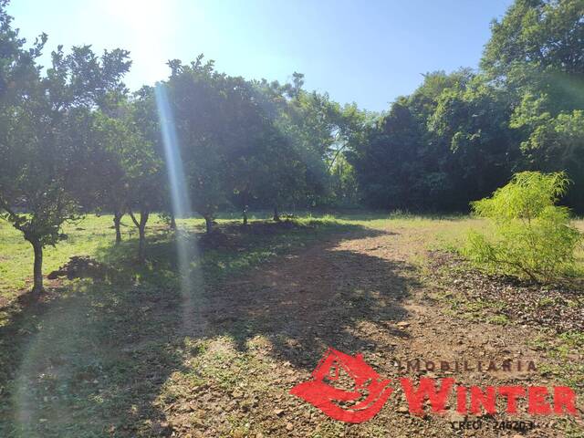 Área de terras para Venda em Feliz - 5