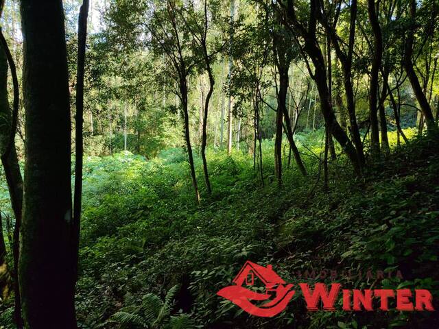 Área de terras para Venda em Bom Princípio - 4