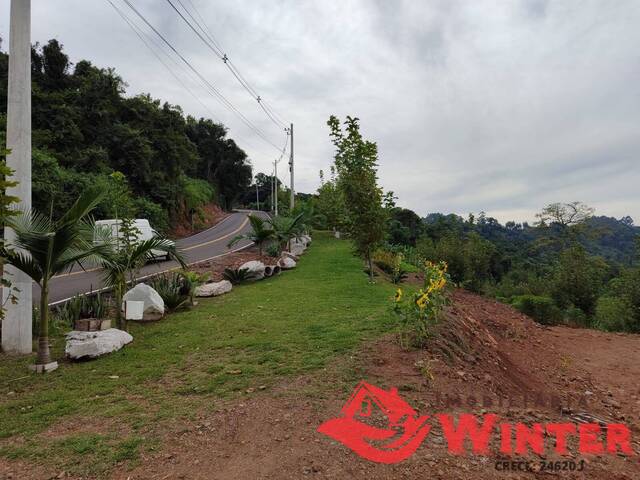 Área de terras para Venda em Feliz - 5