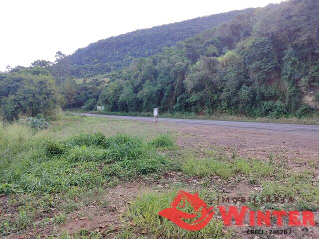 Área de terras para Venda em Vale Real - 4