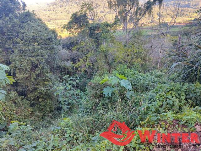 Área de terras para Venda em Vale Real - 5