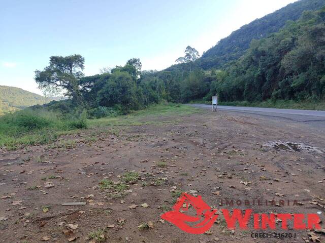 #2194 - Área para Venda em Vale Real - RS - 3
