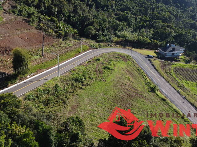 #693 - Área de terras para Venda em Feliz - RS