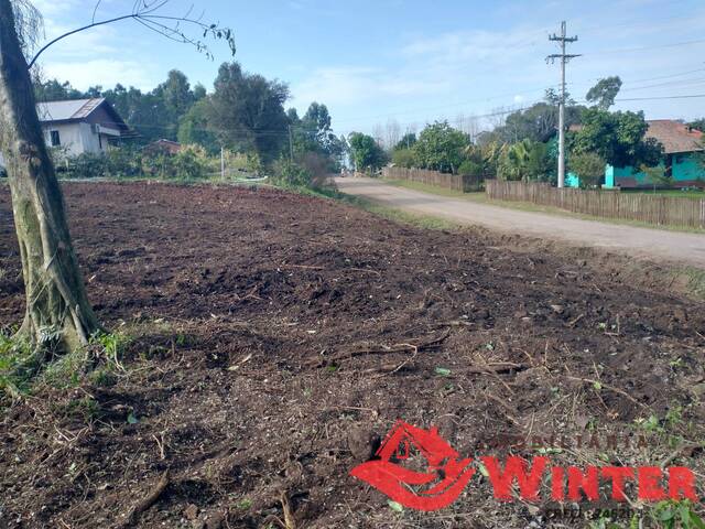Área de terras para Venda em Linha Nova - 4