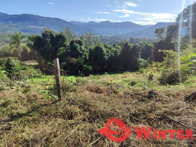 Terreno para Venda em Feliz - 4