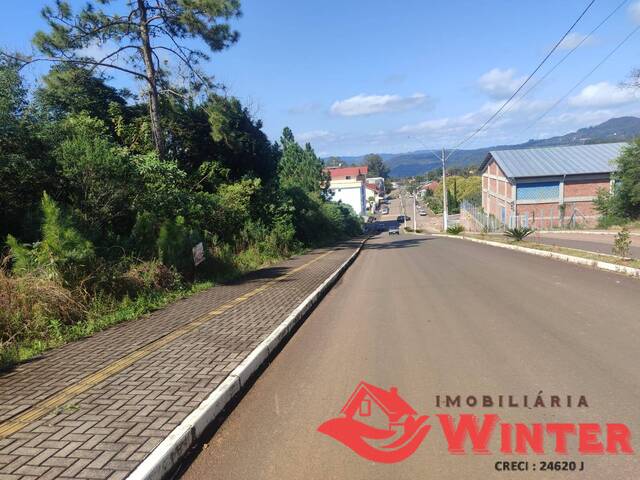 Terreno para Venda em Alto Feliz - 4