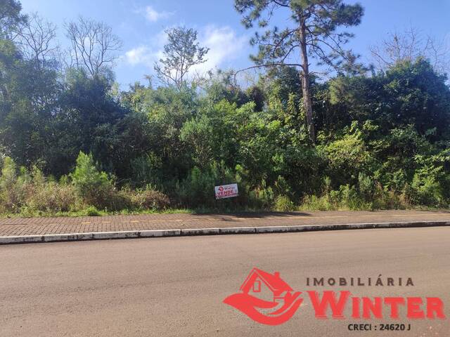 Terreno para Venda em Alto Feliz - 5