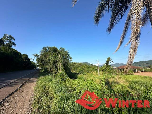 Terreno para Venda em Feliz - 5