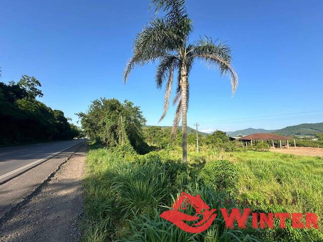 Terreno para Venda em Feliz - 4