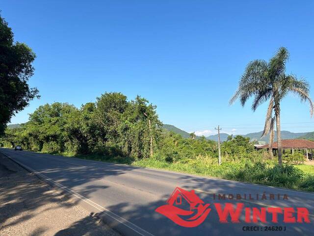 Terreno para Venda em Feliz - 5