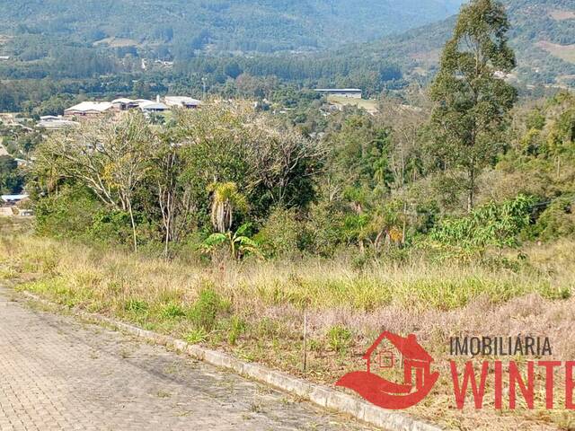 Terreno para Venda em Vale Real - 4