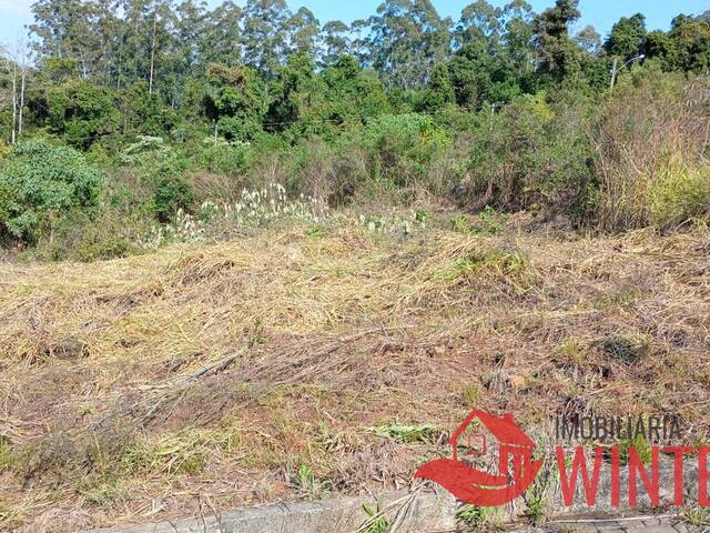 Terreno para Venda em Vale Real - 5