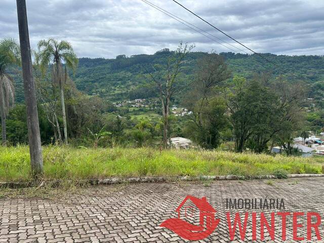 #2250 - Terreno para Venda em Feliz - RS
