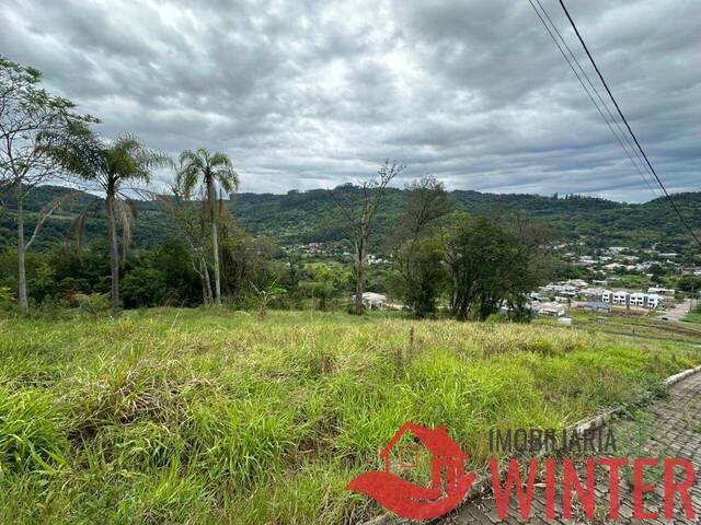 Terreno para Venda em Feliz - 5