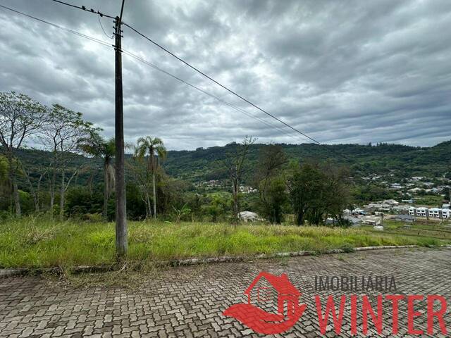 Terreno para Venda em Feliz - 4