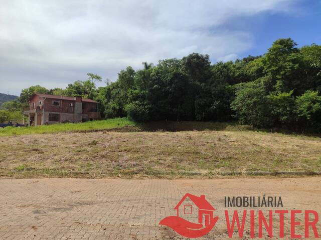 Terreno para Venda em Feliz - 4