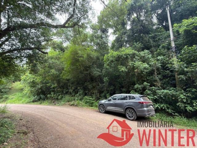 #2278 - Área de terras para Venda em Feliz - RS