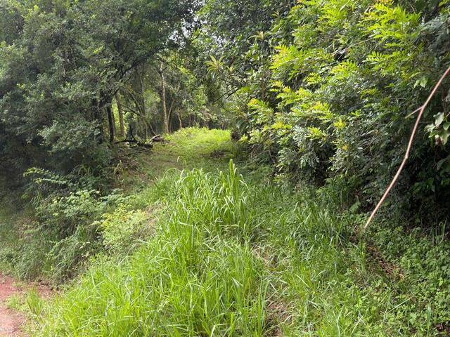 Área de terras para Venda em Feliz - 5