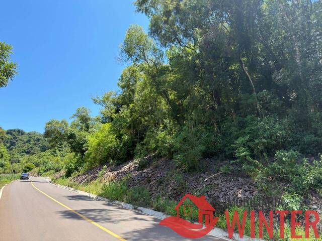 #2281 - Área de terras para Venda em Feliz - RS