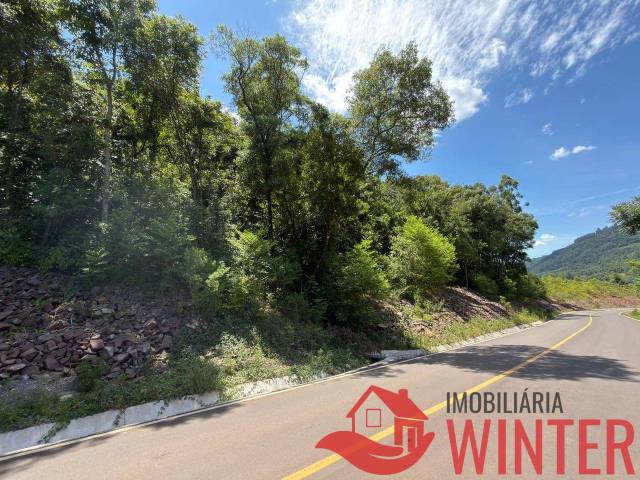 #2281 - Área de terras para Venda em Feliz - RS