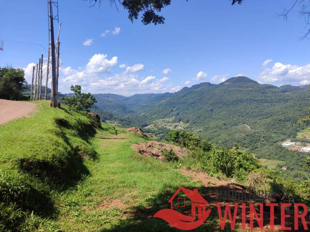 Área de terras para Venda em São Vendelino - 4