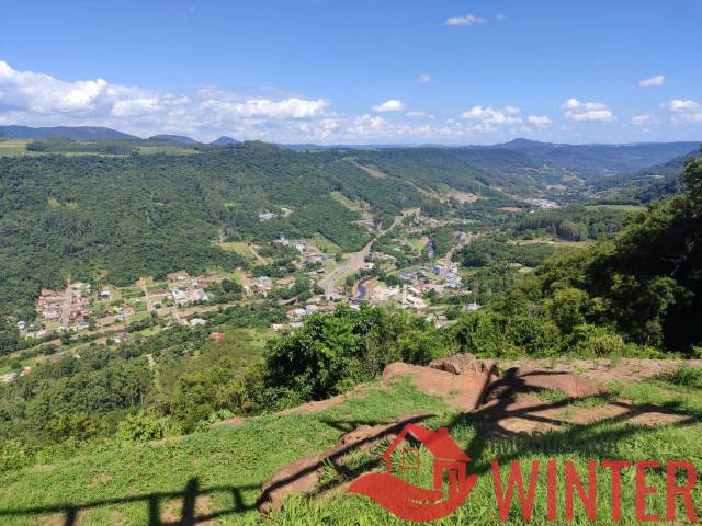 Área de terras para Venda em São Vendelino - 5