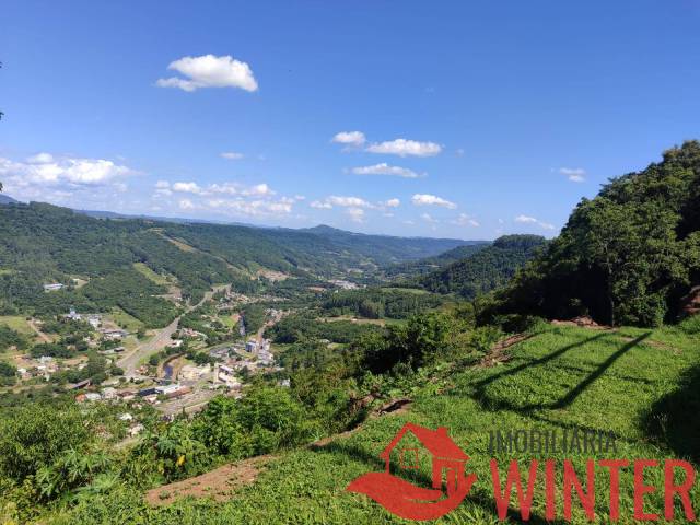 #2288 - Área de terras para Venda em São Vendelino - RS