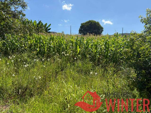 Terreno para Venda em Bom Princípio - 4