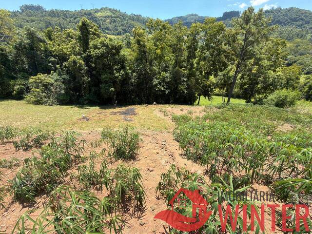 Terreno para Venda em Feliz - 5