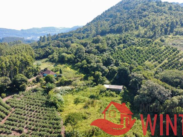 #2295 - Área de terras para Venda em São José do Hortêncio - RS