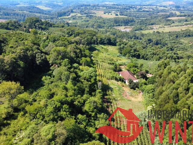 #2295 - Área de terras para Venda em São José do Hortêncio - RS
