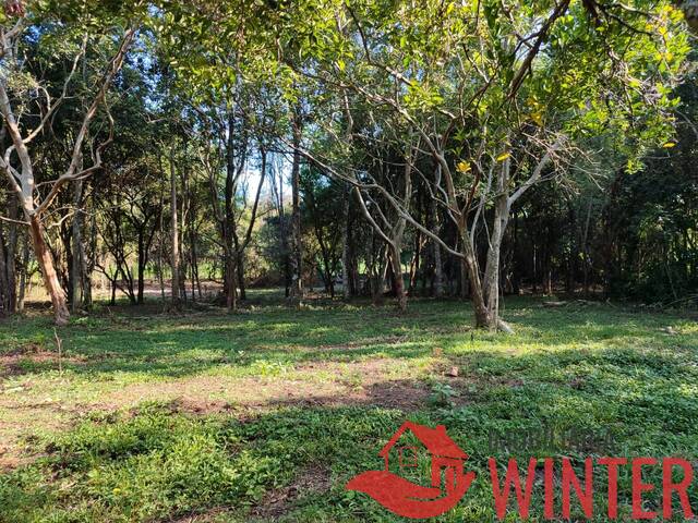 Venda em  - Bom Princípio