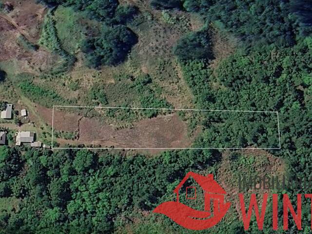 #2304 - Área de terras para Venda em Feliz - RS