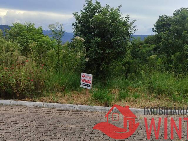 #2305 - Terreno para Venda em Feliz - RS