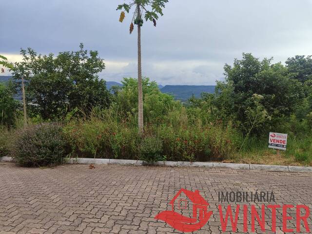Terreno para Venda em Feliz - 4