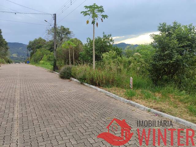 Terreno para Venda em Feliz - 5