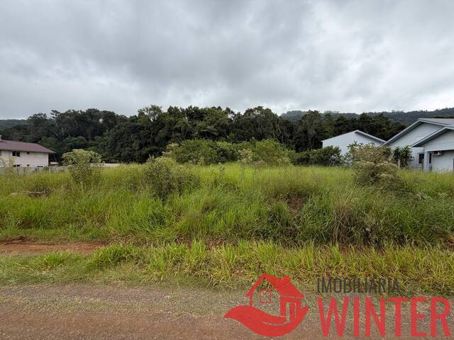 #2316 - Terreno para Venda em Feliz - RS