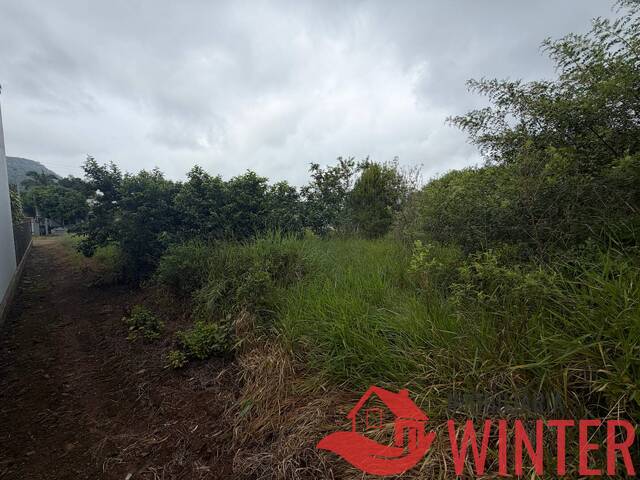 #2316 - Terreno para Venda em Feliz - RS