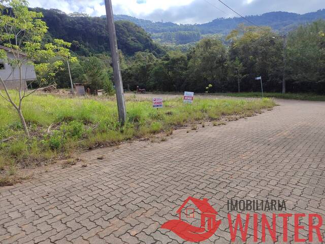 Terreno para Venda em Feliz - 4