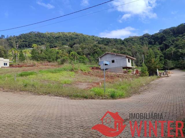 Terreno para Venda em Feliz - 5