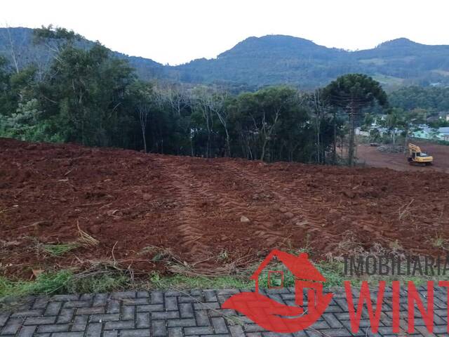 Terreno para Venda em Alto Feliz - 2