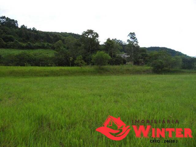 Terreno para Venda em Feliz - 3