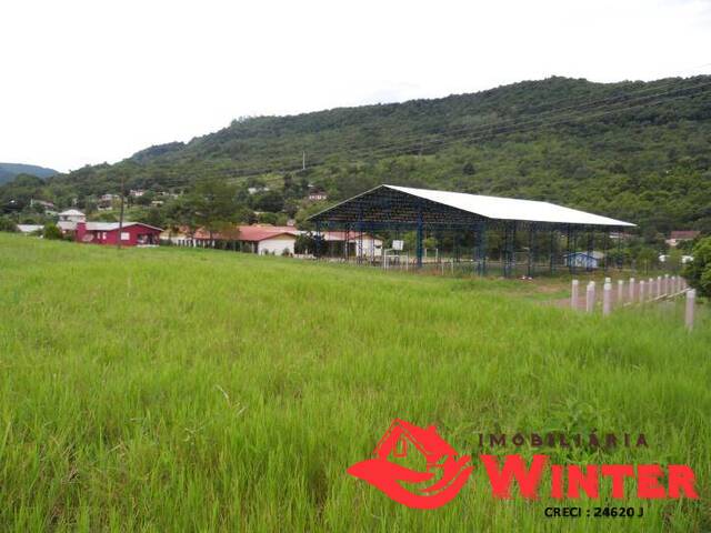 Terreno para Venda em Feliz - 2